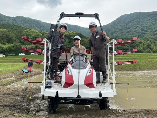 田植え