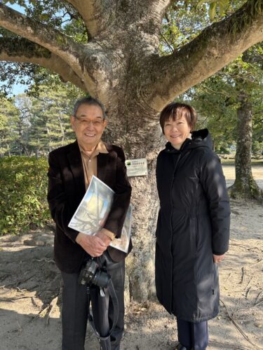 樹木医の堀口さん