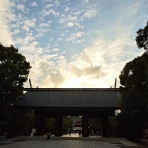 先日行ったパラオを思い出しながら・・・
