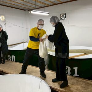 山口県の永山酒造でお酒の仕込みのお手伝い