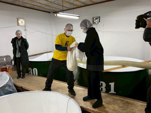 山口県の永山酒造でお酒の仕込みのお手伝い