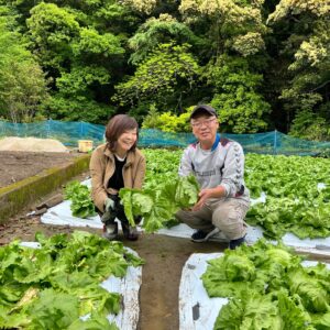 レタス栽培発祥の地