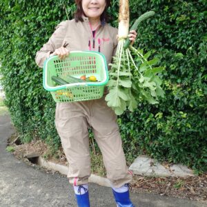田植え